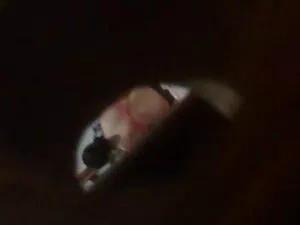 - dalam adegan baru  ...