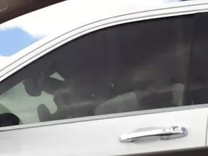 rus rusex.качатакое  ...