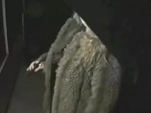 Pelajari bagaimana m ...